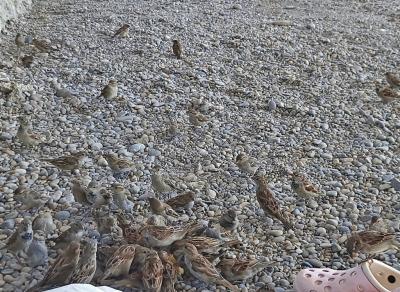 Прикрепленное изображение: IMG_20230908_121535.jpg